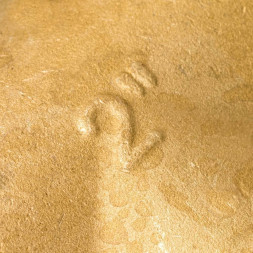 SFT-0019-000002 STOUT Тройник ВВ 2 (270014H202020B)